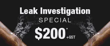 Leak Investigation Discount Kohimarama